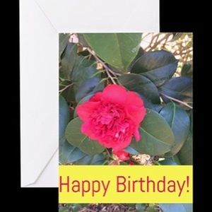 Birthday Gift Bundle: Small Card and Mug